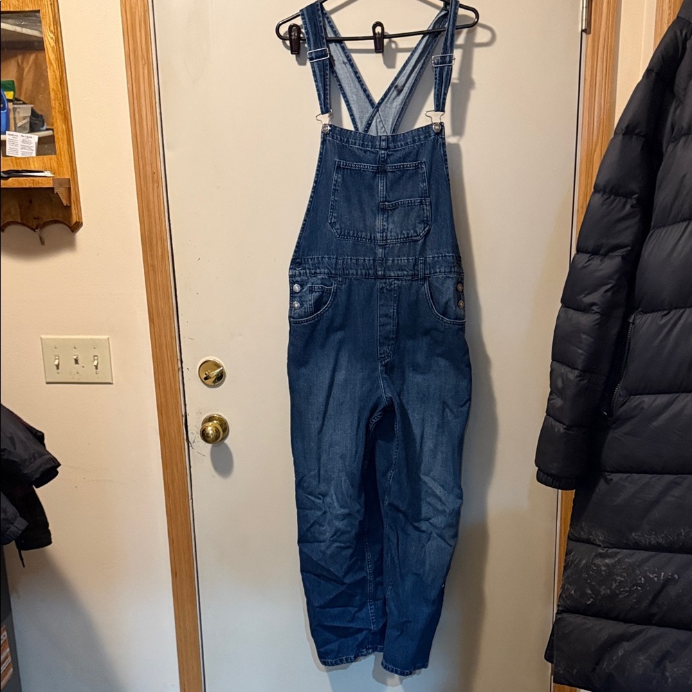 We The Free Indigo Denim Overalls